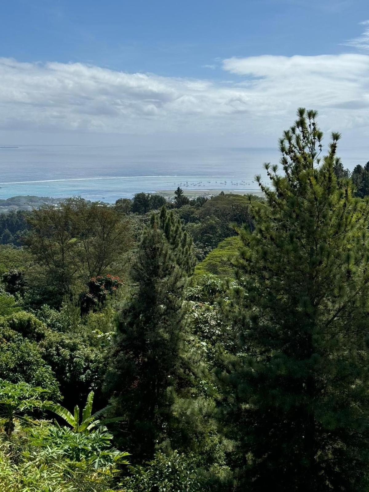 Studio Confort Avec Piscine Et Vue Tahiti Punaauia المظهر الخارجي الصورة
