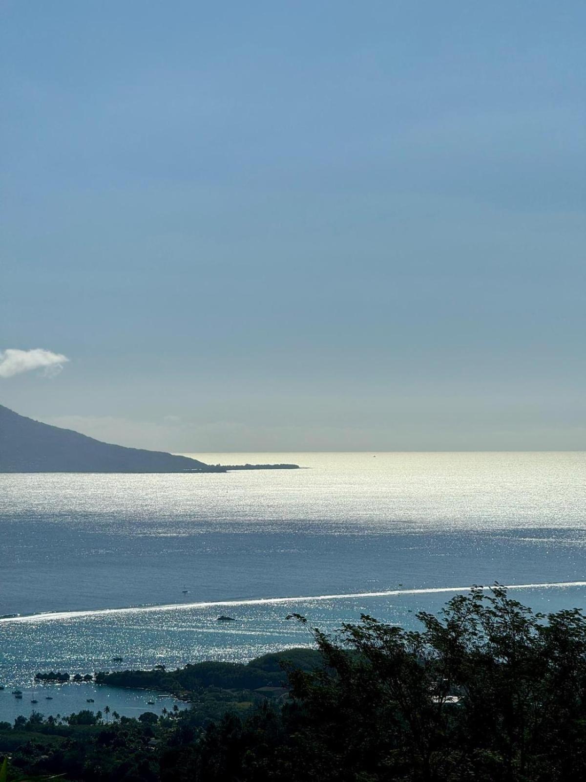 Studio Confort Avec Piscine Et Vue Tahiti Punaauia المظهر الخارجي الصورة