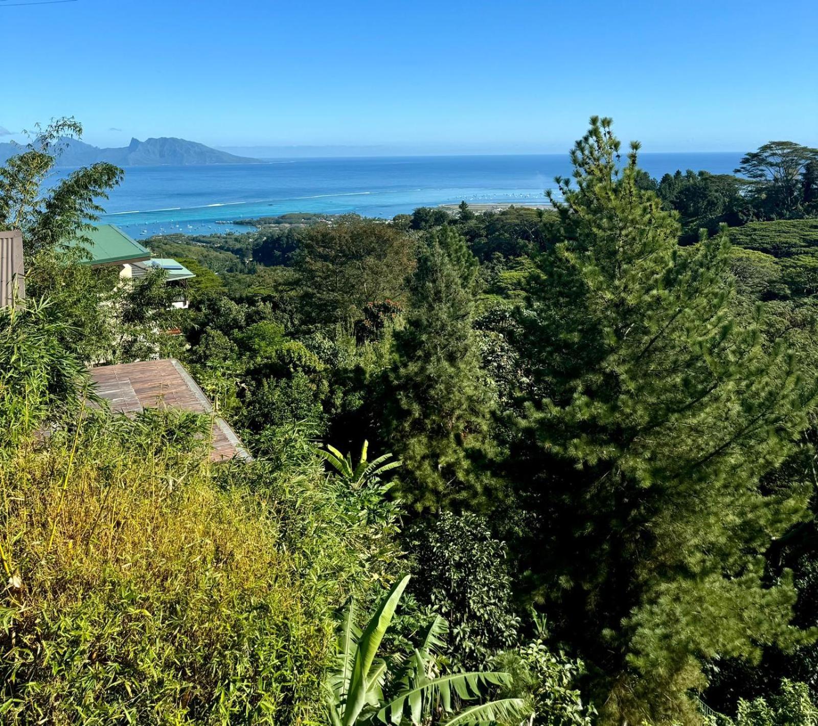 Studio Confort Avec Piscine Et Vue Tahiti Punaauia المظهر الخارجي الصورة